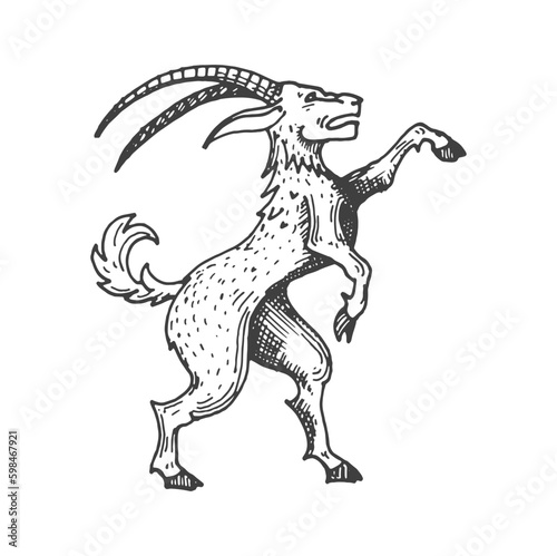 Goat medieval heraldic animal sketch. Magic animal, mythical prancing goat or fantasy creature, heraldry engraved vector sign. Sketch mythology beast ancient insignia or medieval heraldic coat of arms © Vector Tradition
