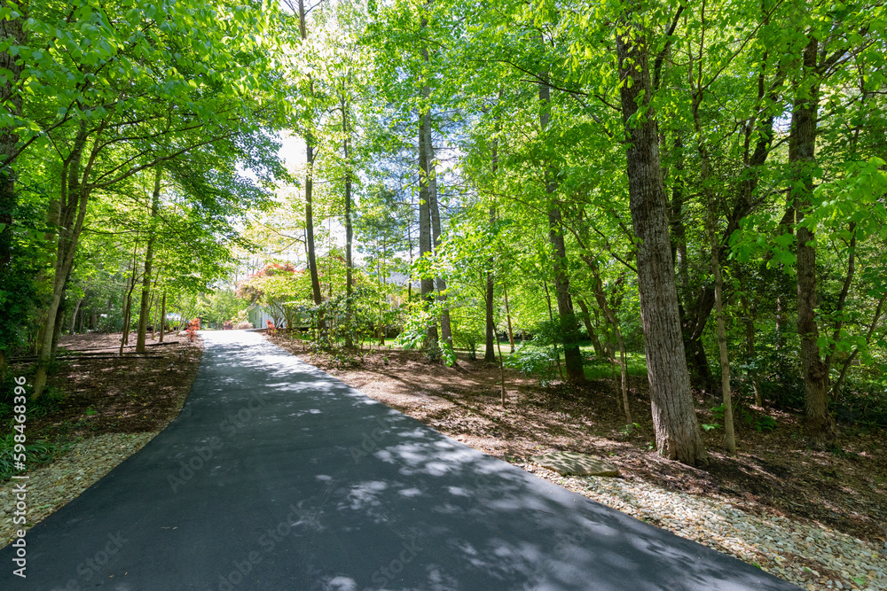 Obraz premium backyard