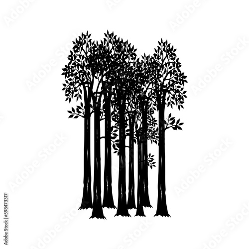 Sequoia trees illustration. giant sequoia; also known as giant redwood, Sierra redwood, Sierran redwood, Wellingtonia or simply big tree. Various shapes. Vector.