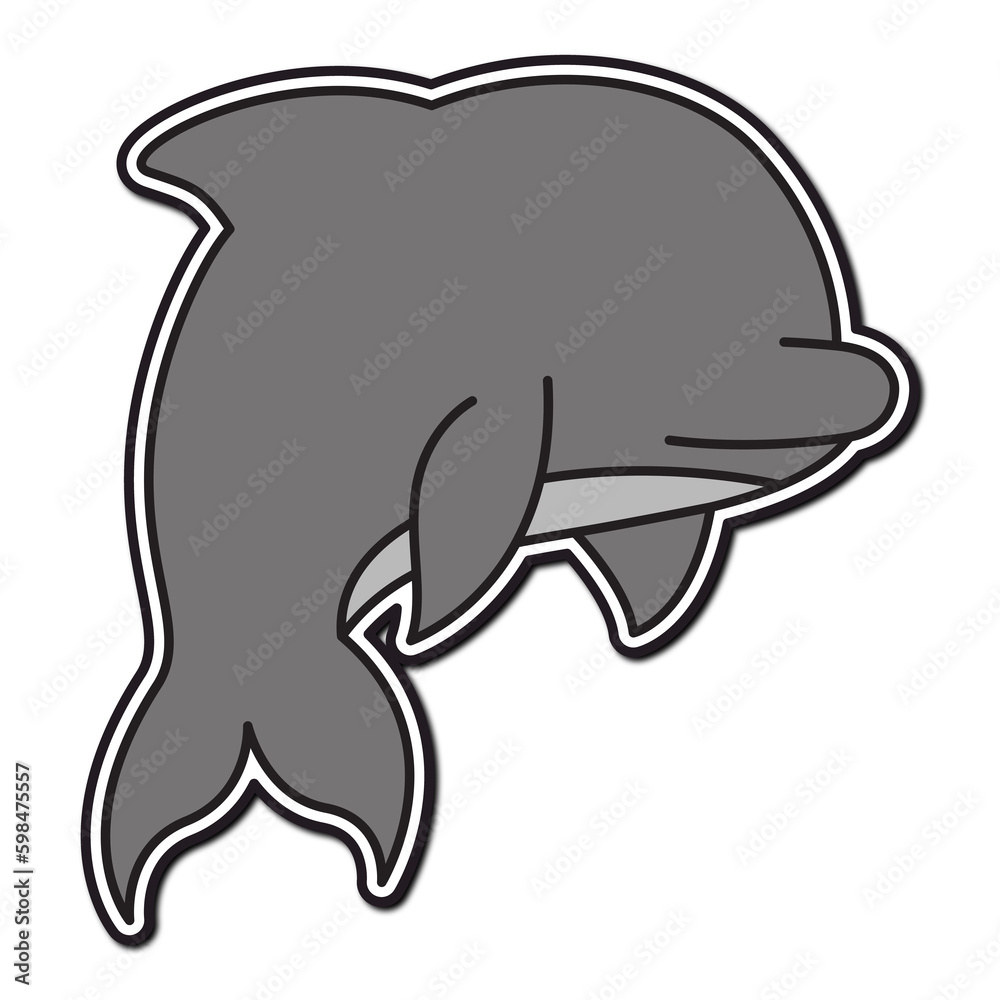 dolphin illustration