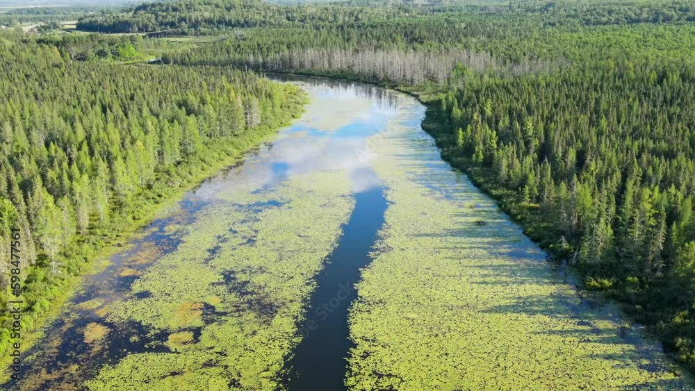 Flying over a river and forest in Northern Minnesota. Flying over a river and forest in Northern Minnesota.