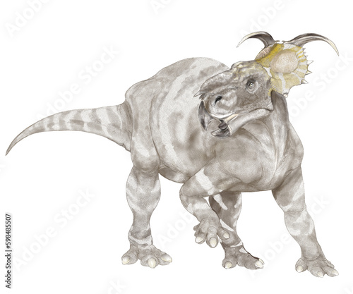 進化した角竜、パキリノサウルスの2023年オリジナル画像。白亜紀後期に北米に生息しており、同じ角竜類のトリケラトプスなどと異なり、鼻の上に大きく鋭い角はなく、瘤のような突起があった。大規模な群れの化石も発見されている。年齢によって個体変異があるとされる。手描きのオリジナル想像図。 photo