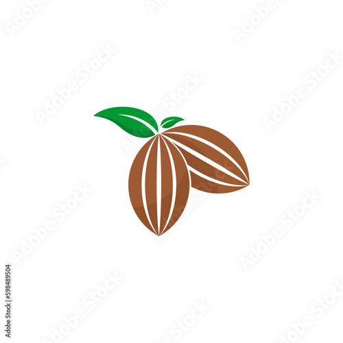 Cocoa Beans Flat Icon On White Background