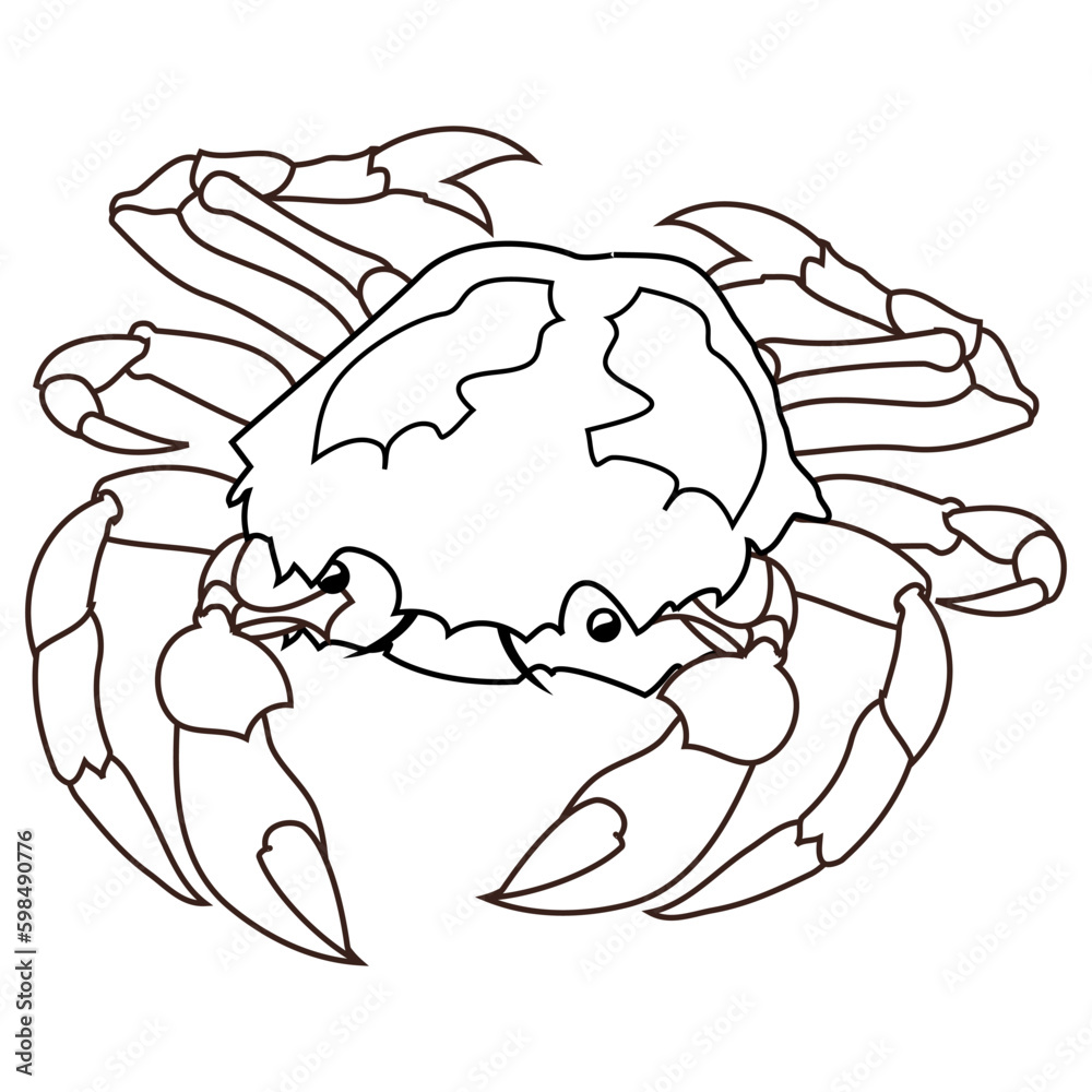 Fototapeta premium crab outline vector illustration