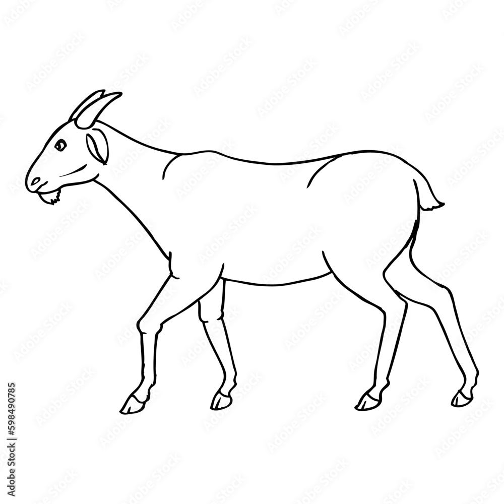 goat sketch vector illustration