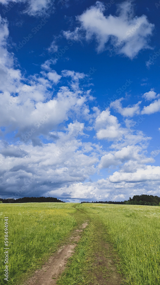 Green sunny meadow and beautiful cloudy sky, vertical photo