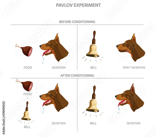 Pavlov's dog experiment showed how dogs could be conditioned to associate a neutral stimulus with a reflex response