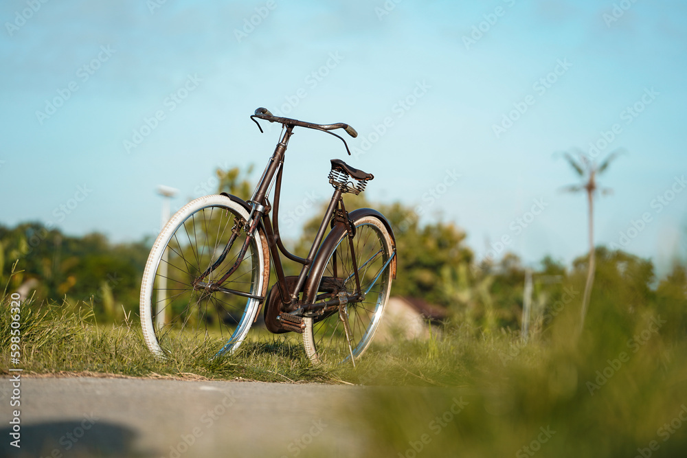 classic onthel bicycles that are displayed on village roads around the rice fields