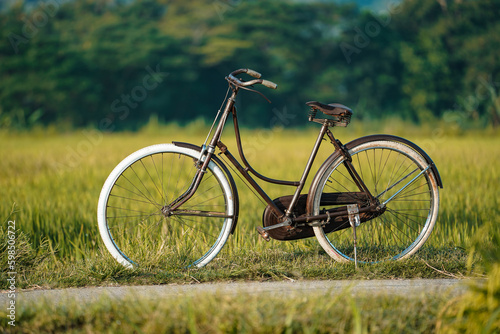 classic onthel bicycles that are displayed on village roads around the rice fields