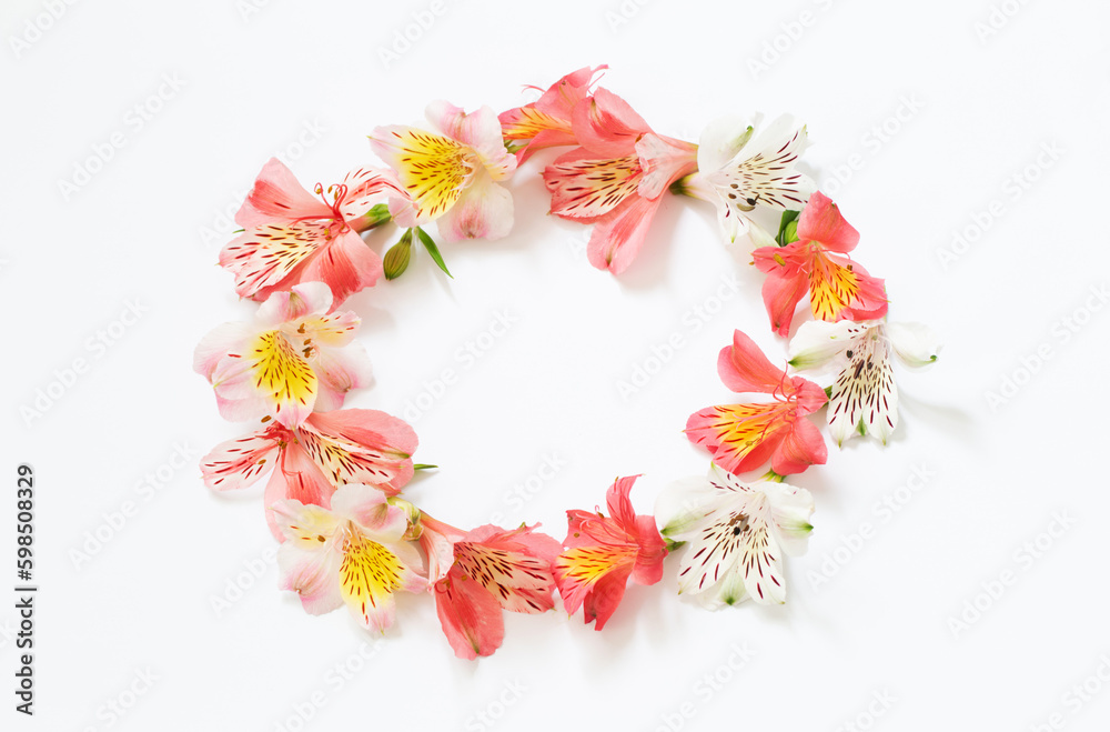 alstroemeria flowers on white  background
