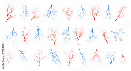 Human eye blood veins vessels silhouettes vector illustration set isolated on white background. Red and blue eyeballs veins anatomical collection of human blood vessel artery health system.