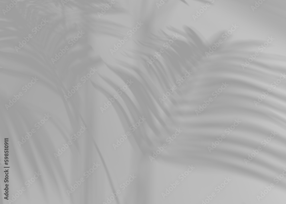 Shadow from palm leaves, overlay effect. Realistic gray shadow on transparent background, png. Applicable for product presentation, photos, backdrop. Sun light. 3D render.