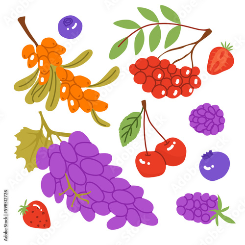 Set with berries after harvest. Farm products, organic farming. Different types of fruits. Sea buckthorn, cherry, blackberry, blueberry, grapes. Vector illustration for farmers and food markets.