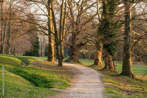 Walkway Lane Path With Green Trees in Forest. Beautiful Alley, road In Park. Pathway, natural tunnel, Way Through Spring Forest.  photo