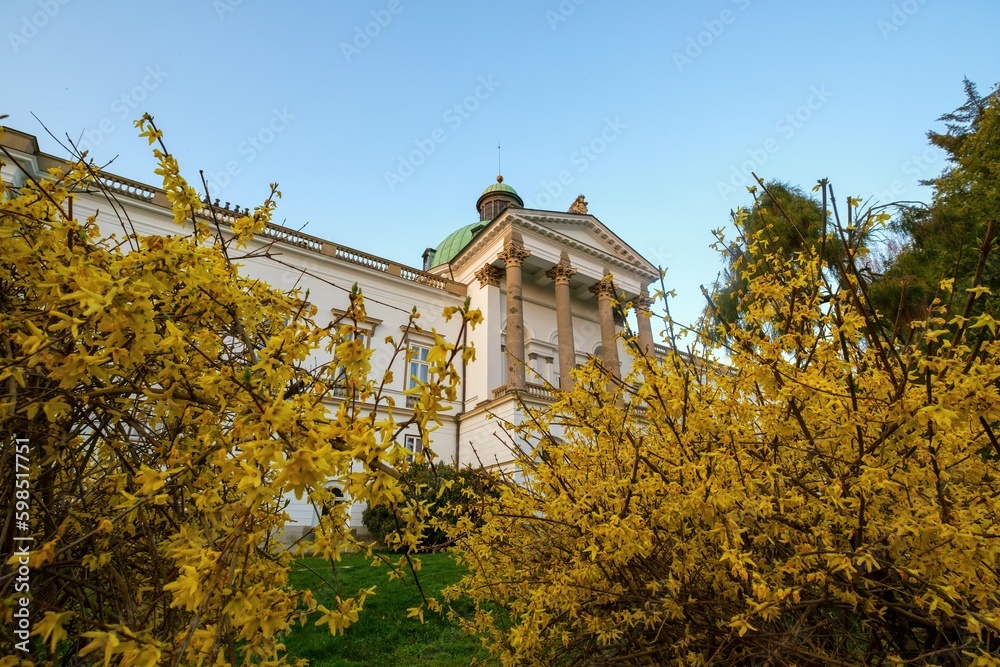 Spring green meadow with yellow flowers, in the background an old castle. The beauty of spring nature with old architecture