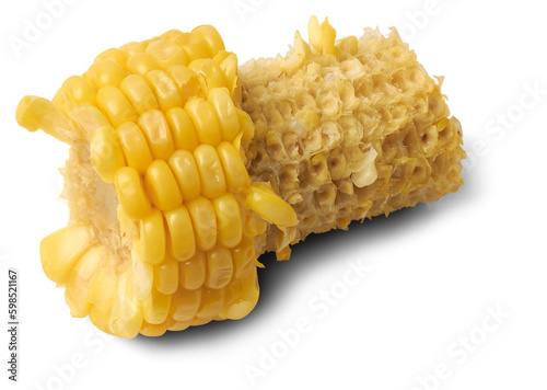 Obraz na plátne half eaten boiled corn or maize, popular starchy vegetable, isolated