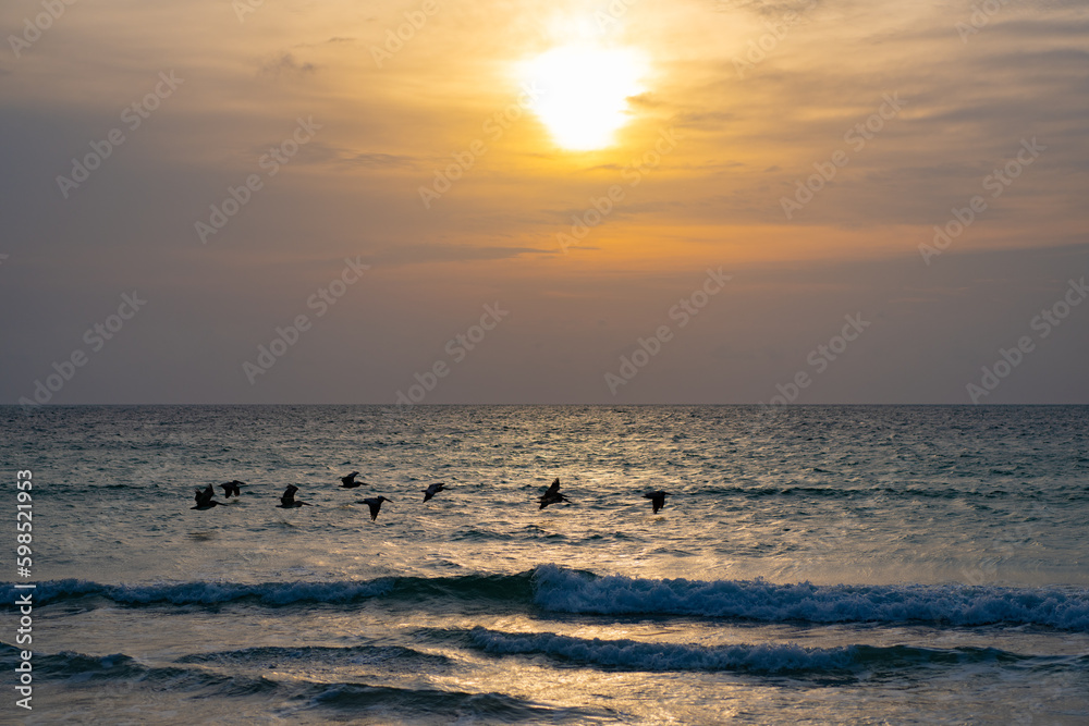 idyllic seascape nature at sunrise. summer seascape nature at sunrise. seascape nature