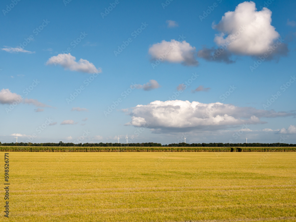 Weed killer, glyphosate, a chemical herbicide, on field to control weeds in Flevopolder, Netherlands Weed killer, glyphosate, a chemical herbicide, on field to control weeds in Flevopolder, Netherlands
