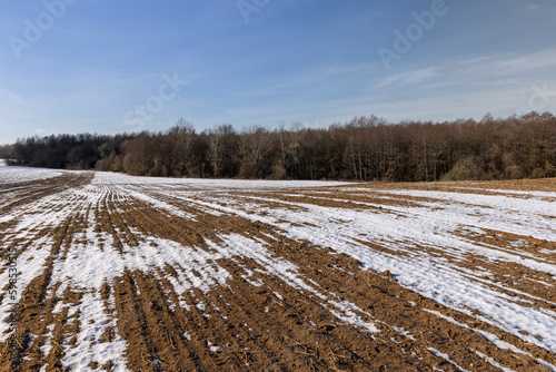 agricultural field for planting plants in winter
