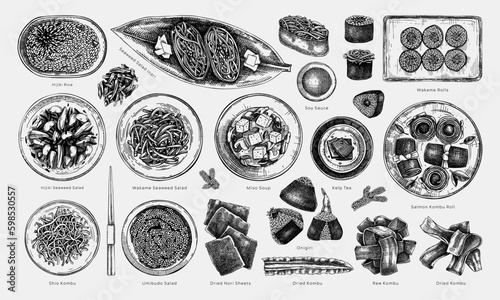 Hand-drawn healthy food vector illustration collection. Edible seaweed dishes sketches with names isolated on white background. Asian cuisine menu design elements in engraved style