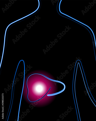 Vector isolated illustration of liver diseases. Concentration of pain in the liver. Diagnosis of the liver. Cirrhosis.