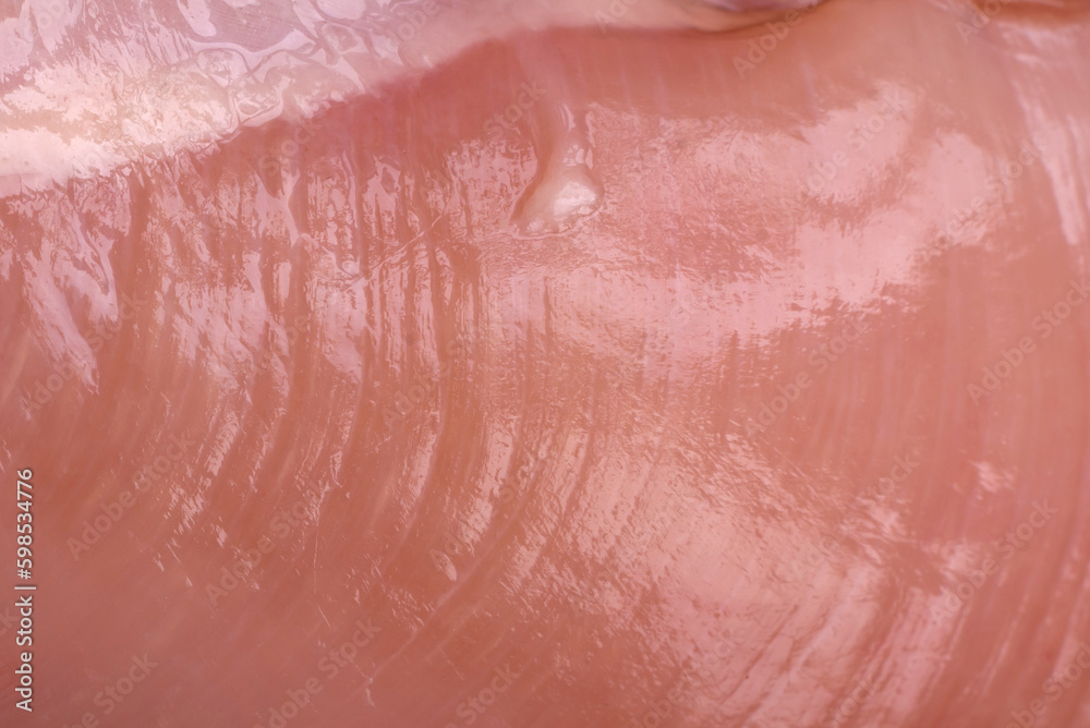 Fototapeta premium Pieces of raw chicken or turkey fillet with salt, spices and herbs