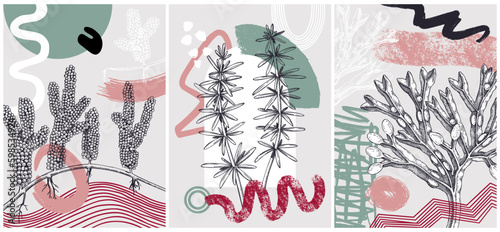 Collage-style seaweeds vector illustration. Sketched underwater plants banner set. Trendy design with botanical elements and geometric shapes. Elegant algae for sketch poster, card, and wall art.