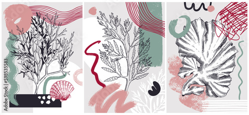 Collage-style seaweeds vector illustration. Sketched underwater plants banner set. Trendy design with botanical elements and geometric shapes. Elegant algae for sketch poster, card, and wall art.