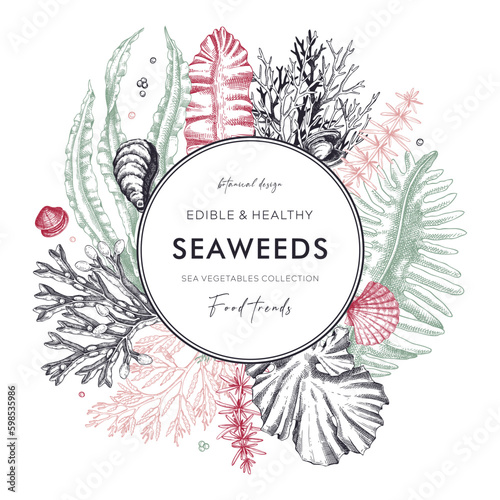 Seaweed vector card or invitation design. Edible algae vintage wreath with golden kelp, wakame, kombu, hijiki, Irish moss drawings in sketch style. Underwater plant botanical illustration in color