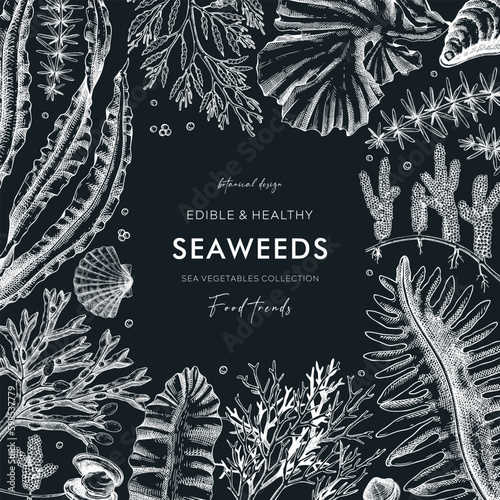 Obraz na płótnie Seaweed vector card design on chalkboard