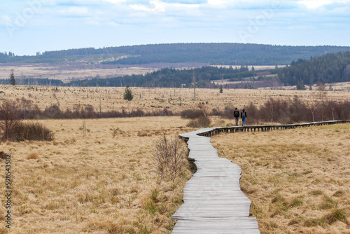 Holzweg durch den Sumpf