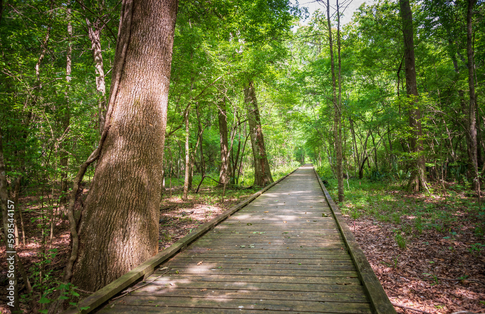 Boardwalk at Lake Fausse Pointe State Park Boardwalk at Lake Fausse Pointe State Park