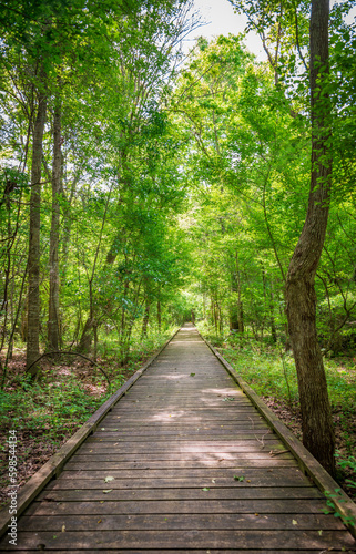 Boardwalk at Lake Fausse Pointe State Park © Zack Frank