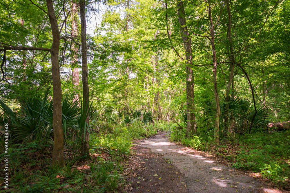 Hiking Trail at Lake Fausse Pointe State Park Hiking Trail at Lake Fausse Pointe State Park