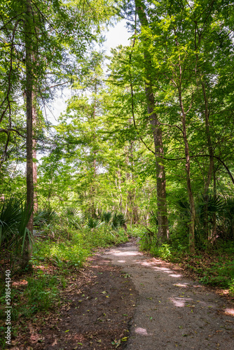 Hiking Trail at Lake Fausse Pointe State Park