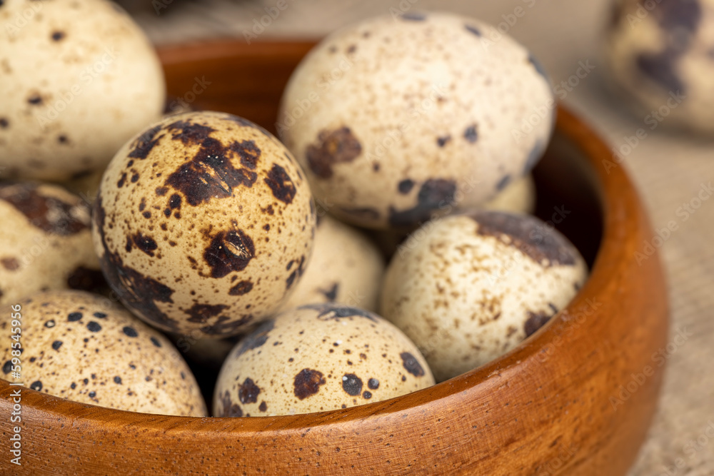 a large number of small spotted quail eggs on the table a large number of small spotted quail eggs on the table