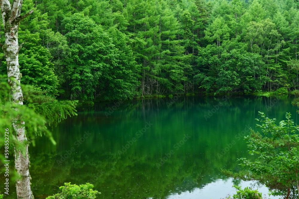 御射鹿池。茅野、長野、日本。７月中旬。