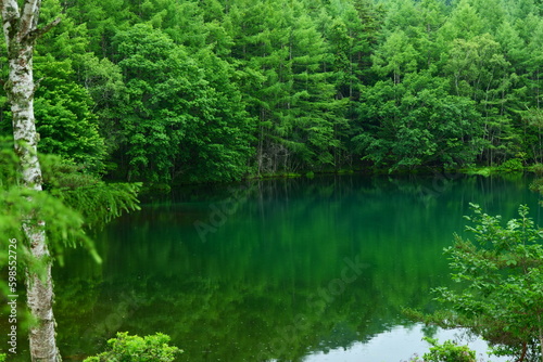 御射鹿池。茅野、長野、日本。７月中旬。