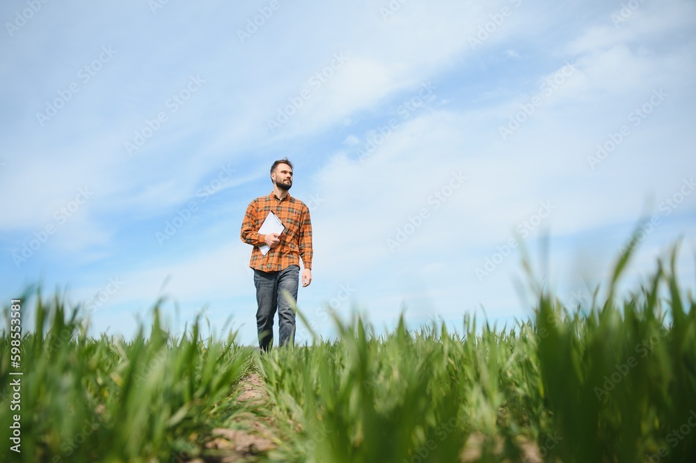Portrait of farmer standing in field. Portrait of farmer standing in field.
