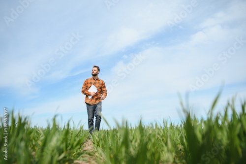 A young farmer inspects the quality of wheat sprouts in the field. The concept of agriculture © Serhii