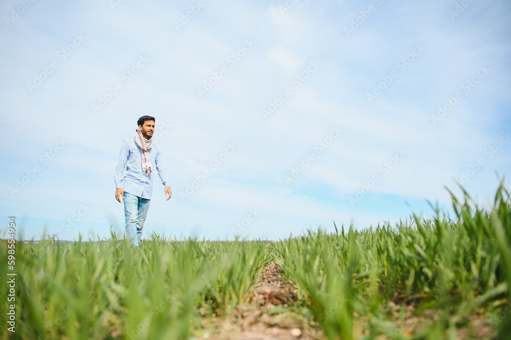 worry less ,indian farmer standing in his healthy wheat field worry less ,indian farmer standing in his healthy wheat field