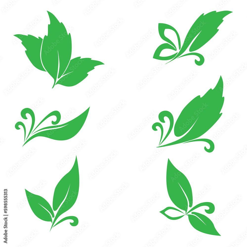 Various shapes of green leaves on white background. Element for logo eco and bio.
