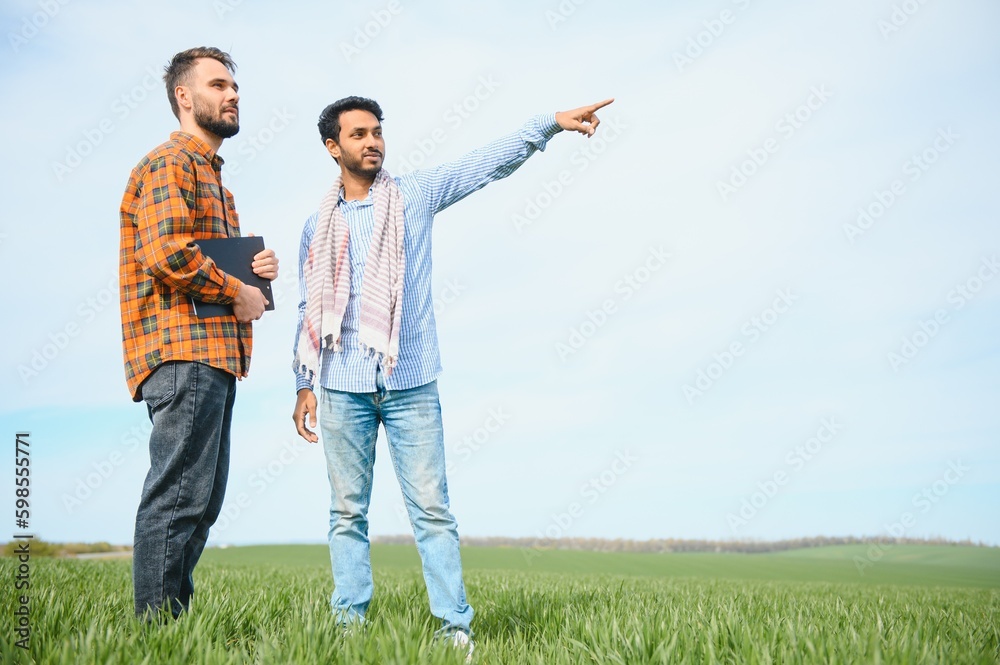 Indian and European farmers stand in a field of green wheat Indian and European farmers stand in a field of green wheat