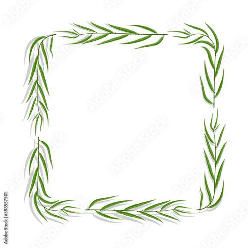 Willow tree frame with green leaves. Square border for greeting card decorating  invitation cards. Colored vector isolated on white background