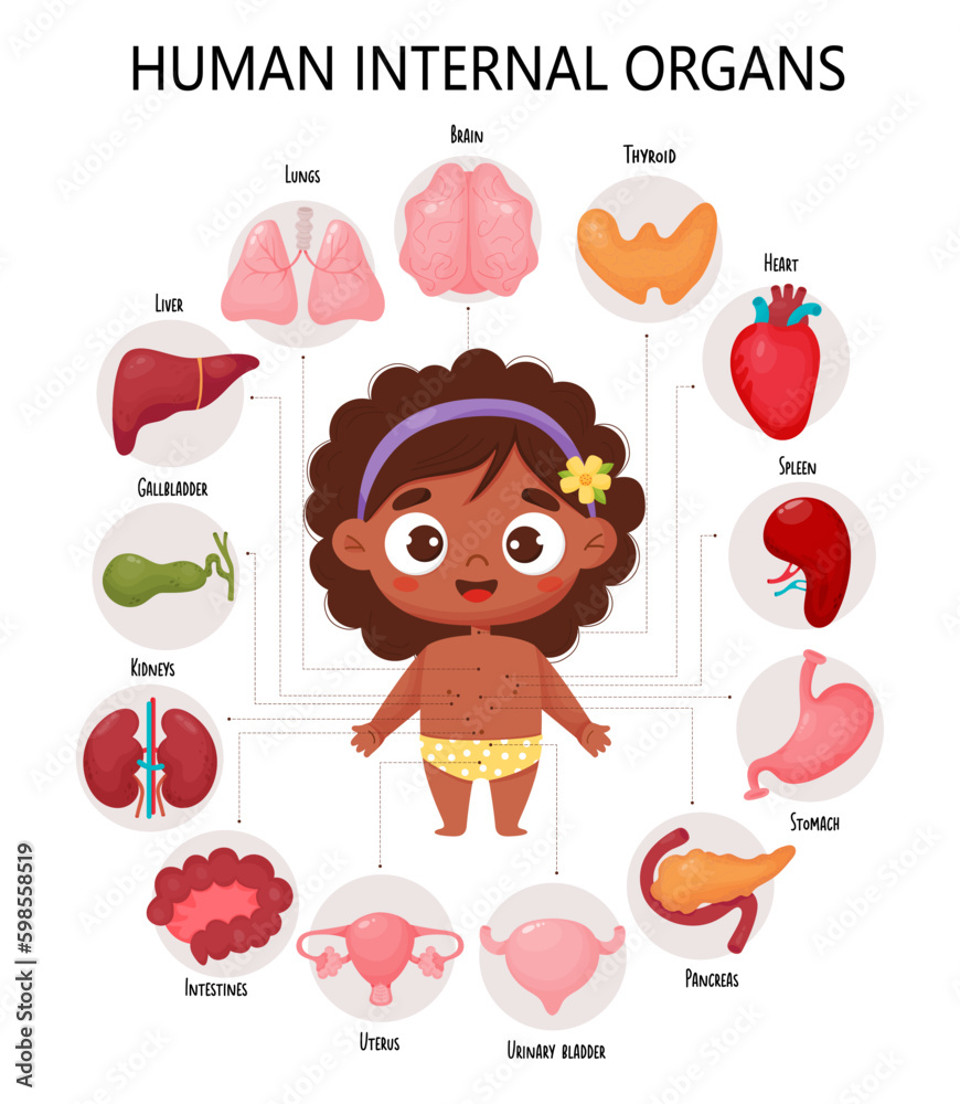 Anatomy human body. Infographic with cute black ethnic girl. Visual