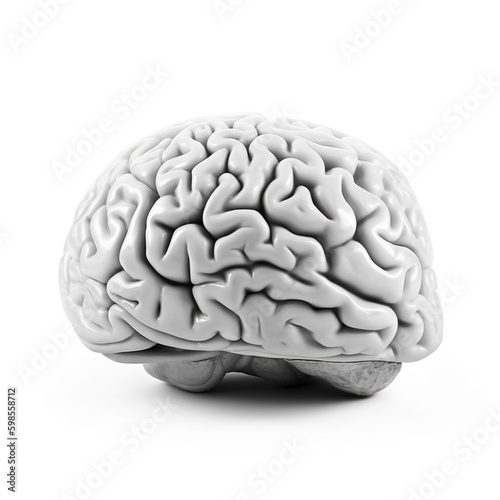 brain isolated on white background. health care concept. generative AI