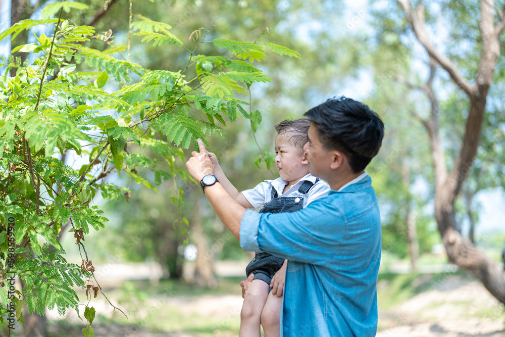 Curious children asked father about the name of the tree. Curious children asked father about the name of the tree.
