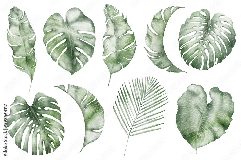 Fototapeta premium Watercolor tropical illustration: botanical leaves
