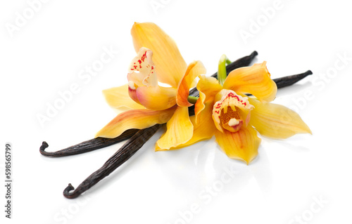 Vanilla flower and pods close up. Vanilla beans isolated on white background, macro shot. Aromatic condiments.  photo