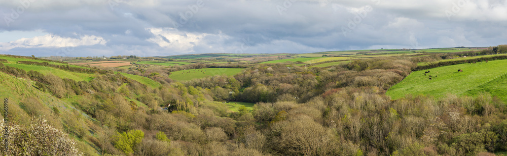 panoramic daylight view of rural Devon looking towards Docton mill and Lymebridge